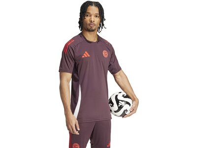ADIDAS Herren Trikot FC Bayern München Tiro 24 Braun