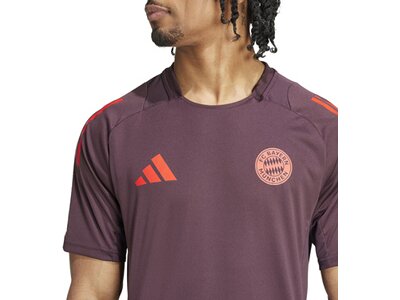 ADIDAS Herren Trikot FC Bayern München Tiro 24 Braun