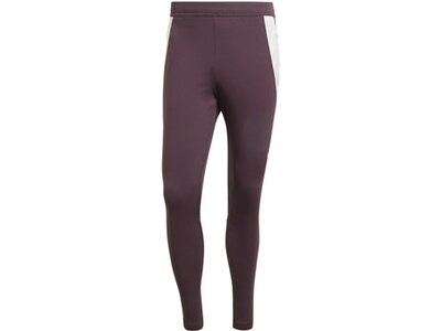 ADIDAS Herren Fanhose FC Bayern München Tiro 24 Grau