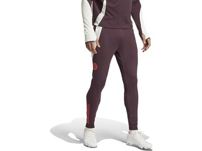 ADIDAS Herren Fanhose FC Bayern München Tiro 24 Grau