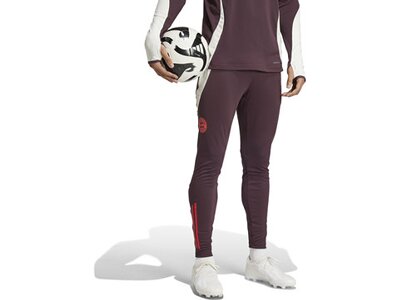 ADIDAS Herren Fanhose FC Bayern München Tiro 24 Grau