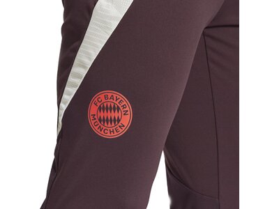 ADIDAS Herren Fanhose FC Bayern München Tiro 24 Grau