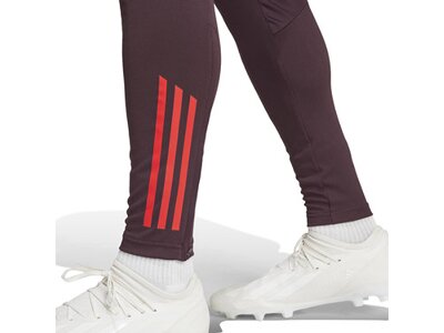 ADIDAS Herren Fanhose FC Bayern München Tiro 24 Grau