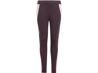 ADIDAS Kinder Fanhose FC Bayern München Tiro 24 Kids Grau