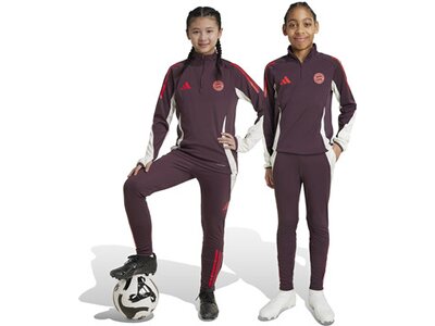 ADIDAS Kinder Fanhose FC Bayern München Tiro 24 Kids Grau