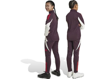 ADIDAS Kinder Fanhose FC Bayern München Tiro 24 Kids Grau