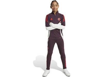 ADIDAS Kinder Fanhose FC Bayern München Tiro 24 Kids Grau