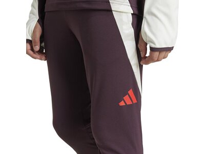 ADIDAS Kinder Fanhose FC Bayern München Tiro 24 Kids Grau