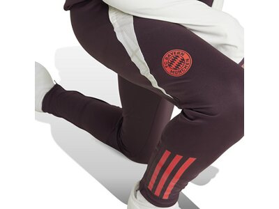 ADIDAS Kinder Fanhose FC Bayern München Tiro 24 Kids Grau