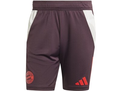 ADIDAS Herren Fanhose FC Bayern München Tiro 24 Grau