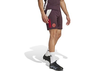 ADIDAS Herren Fanhose FC Bayern München Tiro 24 Grau