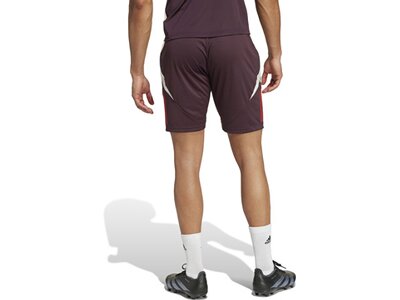 ADIDAS Herren Fanhose FC Bayern München Tiro 24 Grau