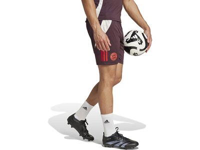 ADIDAS Herren Fanhose FC Bayern München Tiro 24 Grau