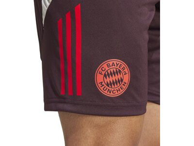 ADIDAS Herren Fanhose FC Bayern München Tiro 24 Grau