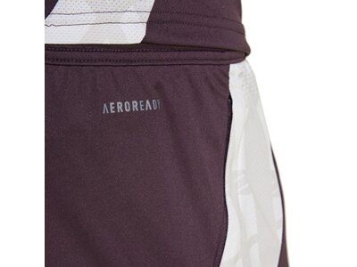 ADIDAS Herren Fanhose FC Bayern München Tiro 24 Grau