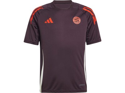 ADIDAS Kinder Trikot FC Bayern München Tiro 24 Kids Grau