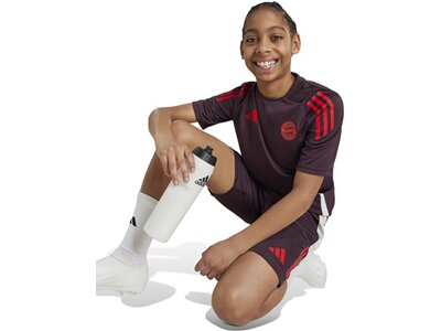 ADIDAS Kinder Trikot FC Bayern München Tiro 24 Kids Grau