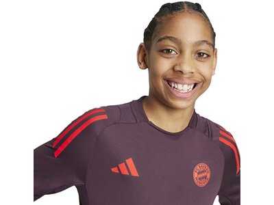 ADIDAS Kinder Trikot FC Bayern München Tiro 24 Kids Grau