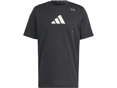 ADIDAS Herren Shirt AEROREADY All-Gym Category Graphic Grau