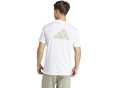 ADIDAS Herren Shirt Workout Logo Pink