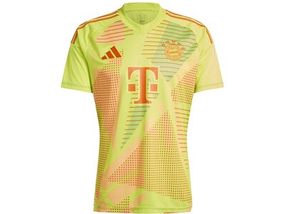 ADIDAS Herren Trikot FC Bayern München 24/25 Braun