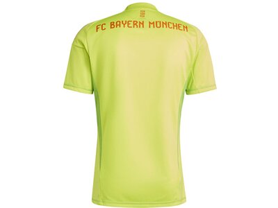ADIDAS Herren Trikot FC Bayern München 24/25 Braun