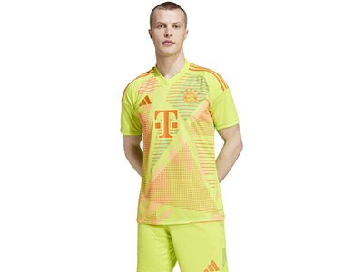 ADIDAS Herren Trikot FC Bayern München 24/25 Braun