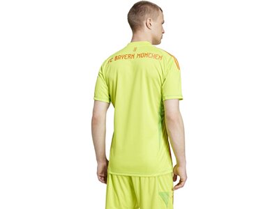 ADIDAS Herren Trikot FC Bayern München 24/25 Braun