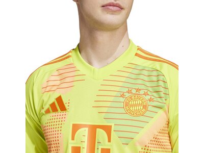 ADIDAS Herren Trikot FC Bayern München 24/25 Braun