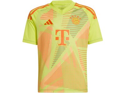 ADIDAS Kinder Trikot FC Bayern München 24/25 Kids Braun