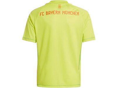 ADIDAS Kinder Trikot FC Bayern München 24/25 Kids Braun