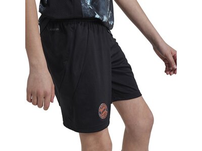 ADIDAS Kinder Teamhose FC Bayern München 24/25 Kids Auswärts Schwarz