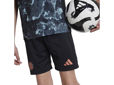 ADIDAS Kinder Teamhose FC Bayern München 24/25 Kids Auswärts Schwarz