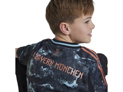ADIDAS Kinder Trikot FC Bayern München 24/25 Auswärtstrikot Grau