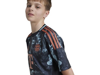 ADIDAS Kinder Trikot FC Bayern München 24/25 Auswärtstrikot Grau