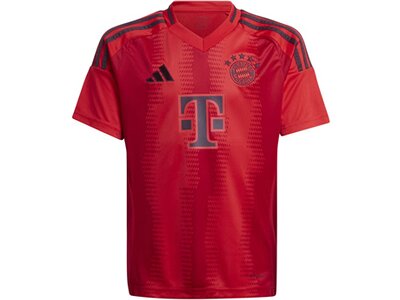 ADIDAS Kinder Trikot FC Bayern München 24/25 Heimtrikot Rot