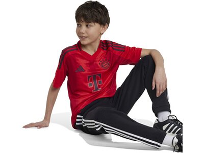 ADIDAS Kinder Trikot FC Bayern München 24/25 Heimtrikot Rot