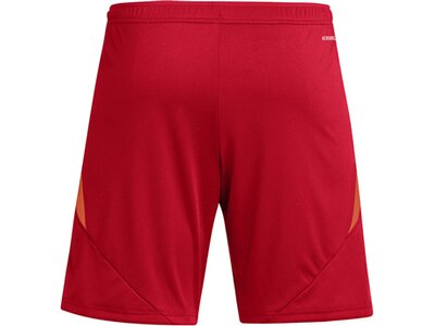 ADIDAS Herren Shorts Tiro 24 Rot