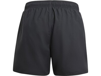 ADIDAS Kinder Badeshorts Sportswear Essentials Logo CLX Kids Grau