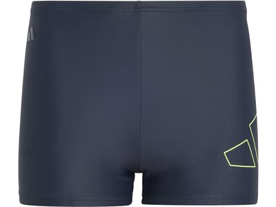 ADIDAS Kinder Badehose Performance Big Bars Kids Grau