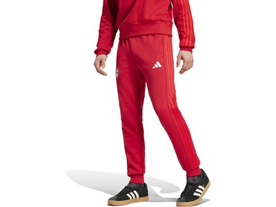 ADIDAS Herren Fanhose FC Bayern München DNA Rot
