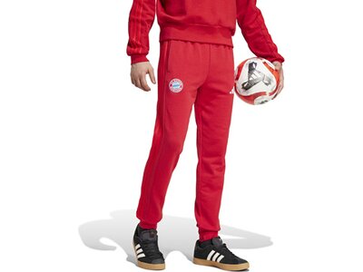 ADIDAS Herren Fanhose FC Bayern München DNA Rot