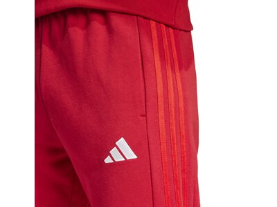ADIDAS Herren Fanhose FC Bayern München DNA Rot