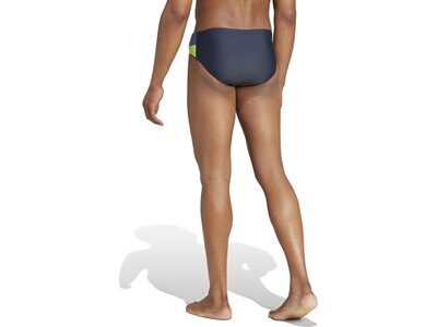 ADIDAS Badehose Colorblock Grau