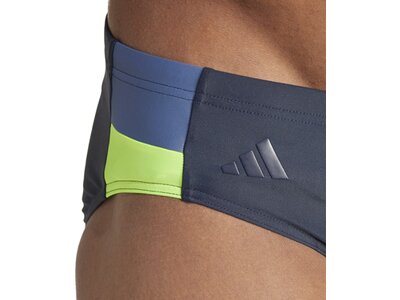 ADIDAS Badehose Colorblock Grau
