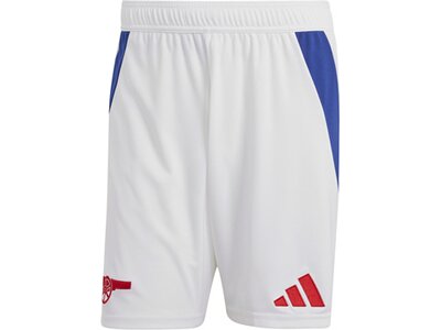 ADIDAS Herren Teamhose FC Arsenal 24/25 Heim Grau