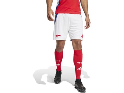ADIDAS Herren Teamhose FC Arsenal 24/25 Heim Grau
