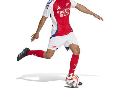 ADIDAS Herren Teamhose FC Arsenal 24/25 Heim Grau