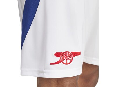 ADIDAS Herren Teamhose FC Arsenal 24/25 Heim Grau