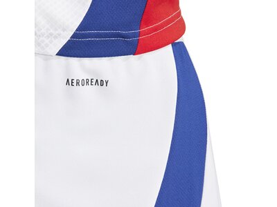 ADIDAS Herren Teamhose FC Arsenal 24/25 Heim Grau